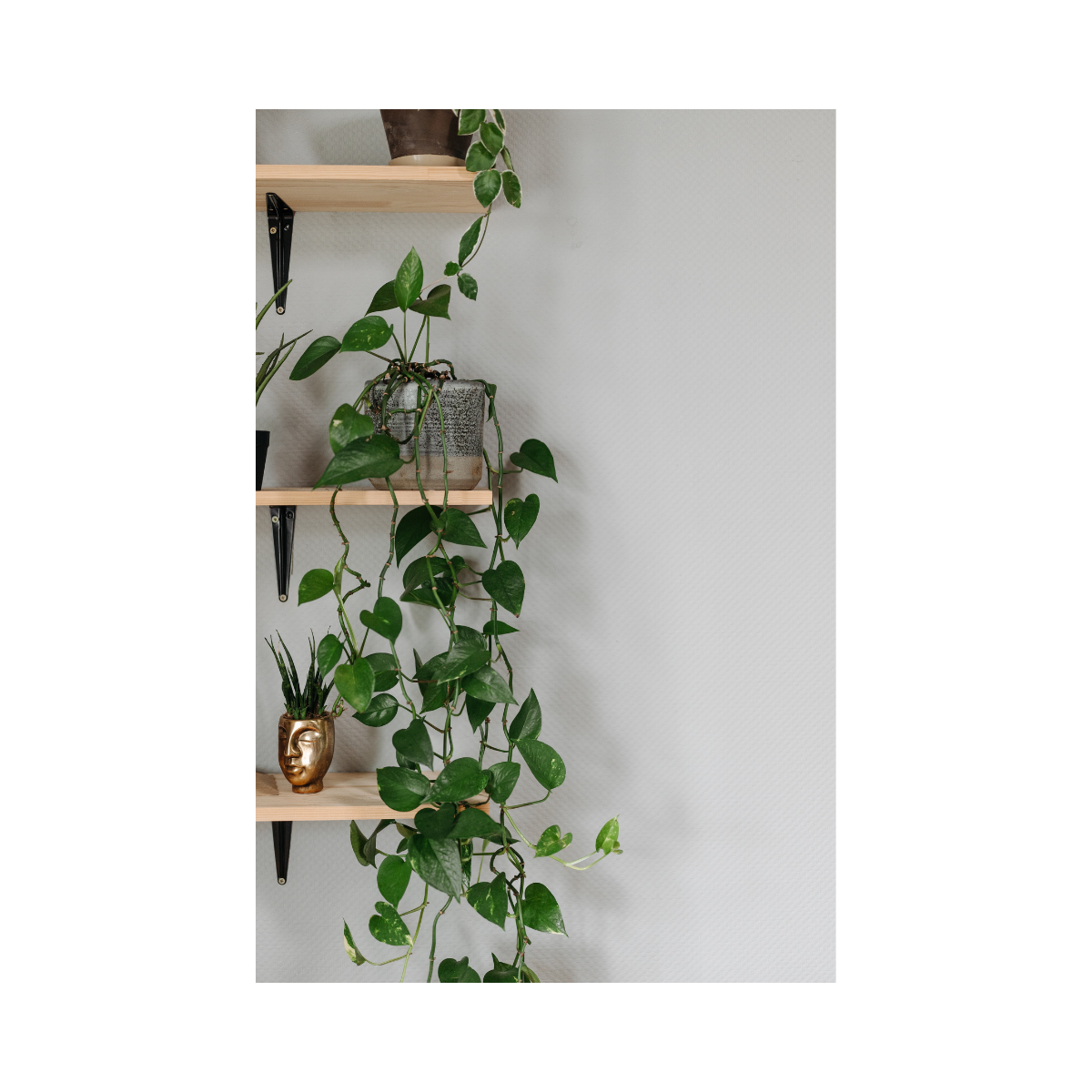 Wooden Wall Shelf - Image 6